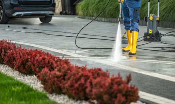 Best Building Exterior Washing  in Lakemont, PA